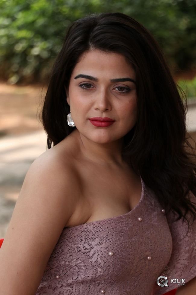 Ayesha-Singh-at-Yedu-Chepala-Katha-Movie-Prees-Meet
